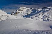 Passando dalla Val Sedornia salita al Vigna Vaga e al Pizzo di Petto innevati il 13 novembre 2010 - FOTOGALLERY